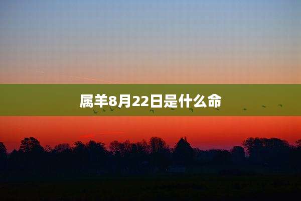 属羊8月22日是什么命