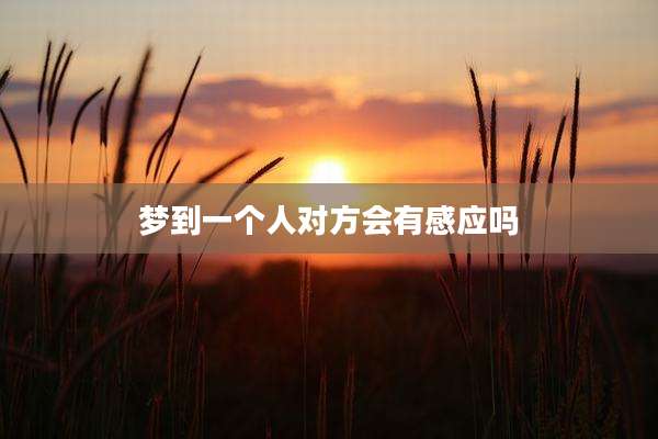 梦到一个人对方会有感应吗