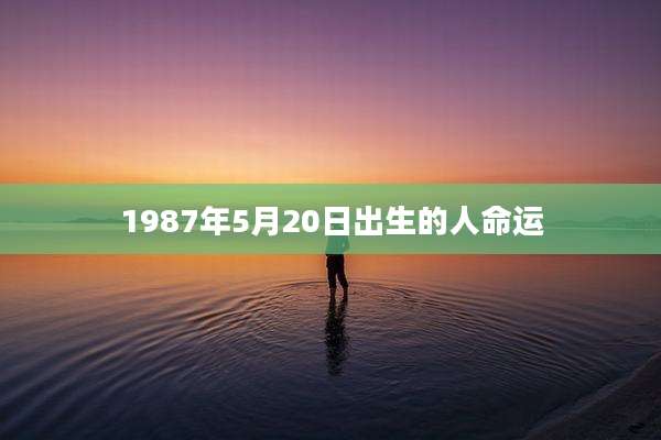 1987年5月20日出生的人命运