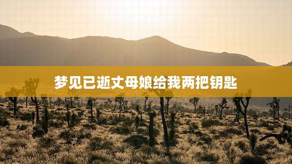 梦见已逝丈母娘给我两把钥匙