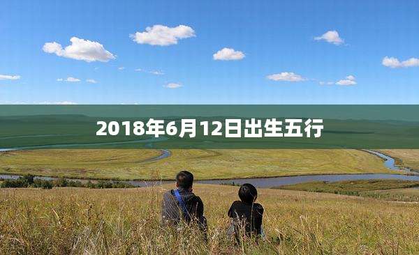 2018年6月12日出生五行