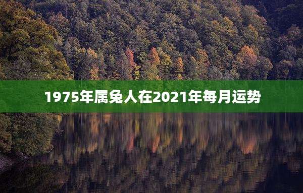 1975年属兔人在2021年每月运势