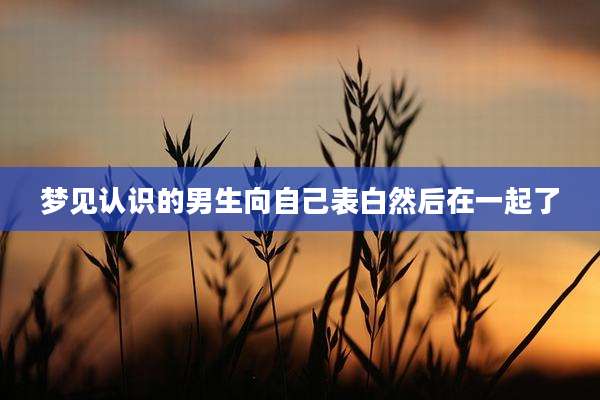 梦见认识的男生向自己表白然后在一起了