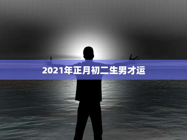 2021年正月初二生男才运