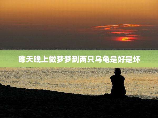昨天晚上做梦梦到两只乌龟是好是坏