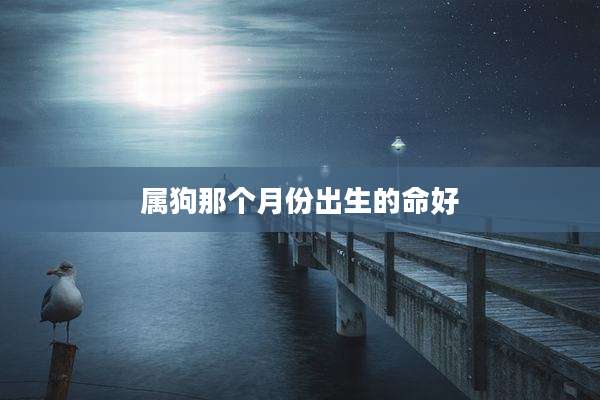 属狗那个月份出生的命好