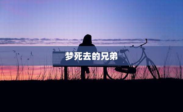 梦死去的兄弟