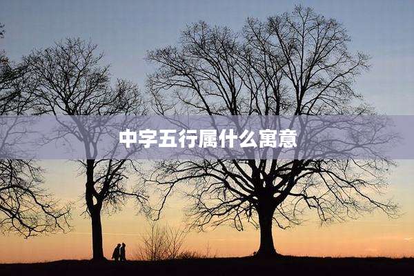 中字五行属什么寓意