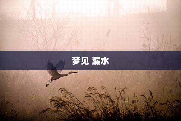 梦见 漏水