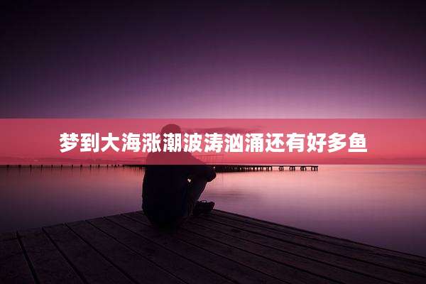 梦到大海涨潮波涛汹涌还有好多鱼