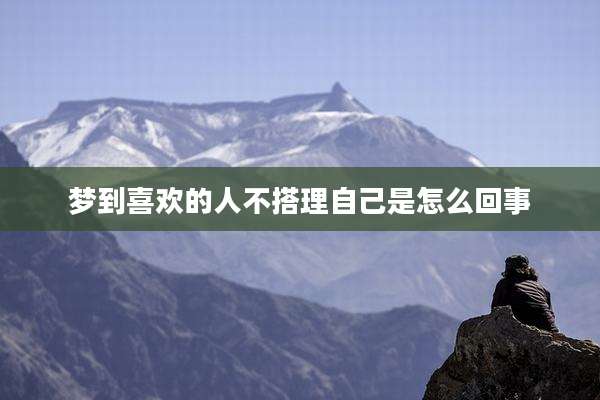 梦到喜欢的人不搭理自己是怎么回事