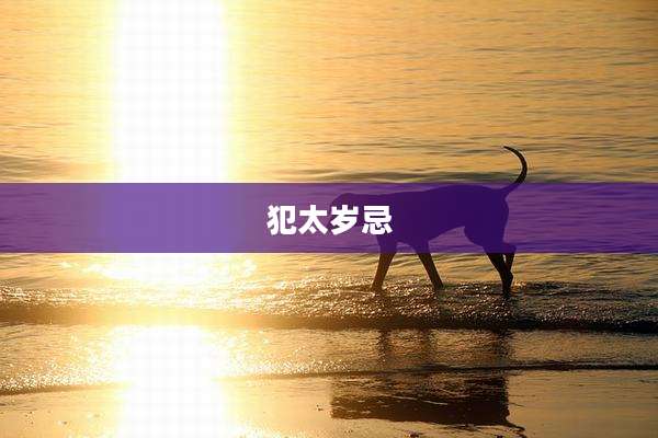 犯太岁忌