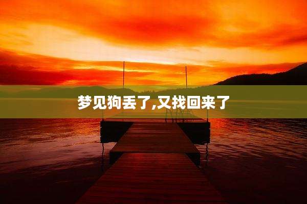 梦见狗丢了,又找回来了
