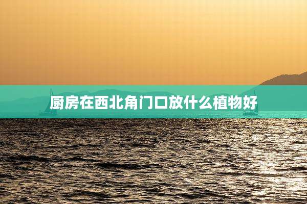 厨房在西北角门口放什么植物好