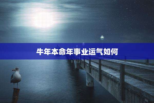 牛年本命年事业运气如何