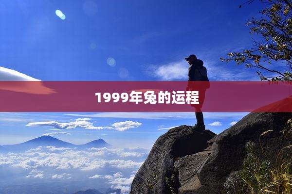 1999年兔的运程