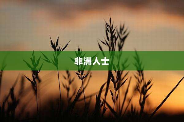 非洲人士