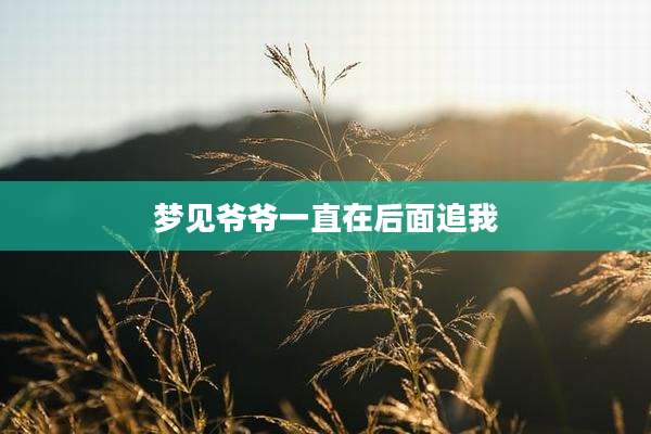 梦见爷爷一直在后面追我