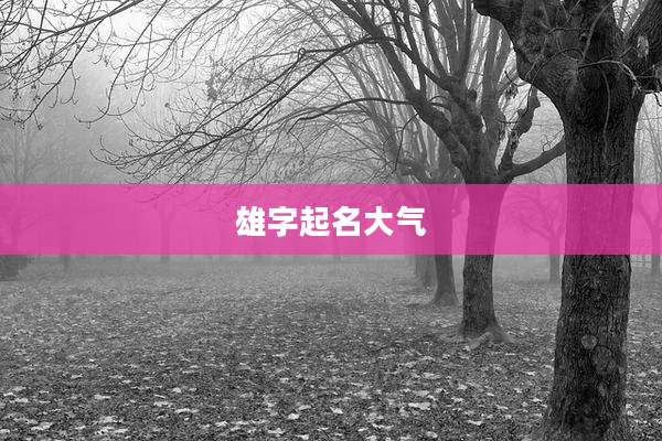 雄字起名大气
