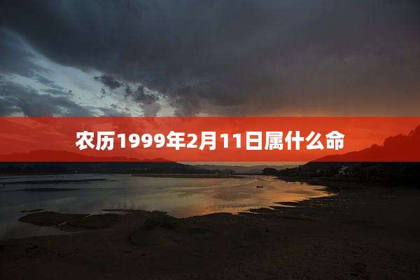 农历1999年2月11日属什么命