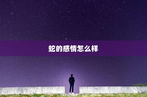 蛇的感情怎么样