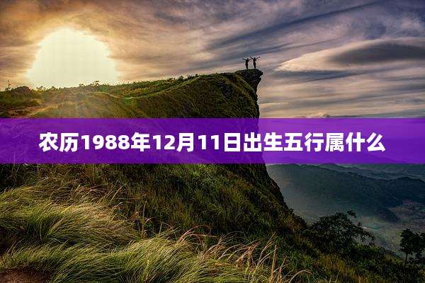 农历1988年12月11日出生五行属什么