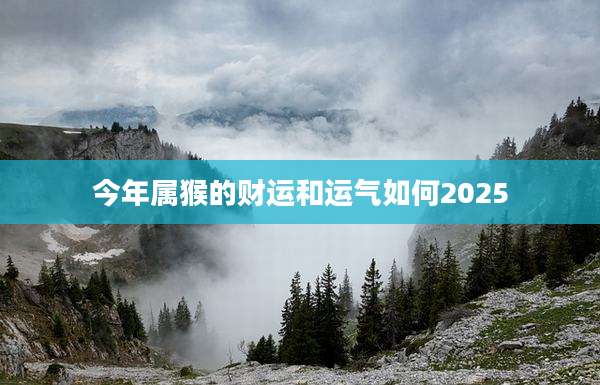 今年属猴的财运和运气如何2025