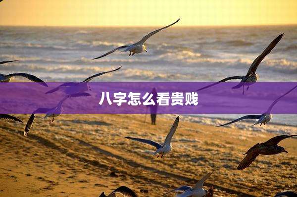 八字怎么看贵贱