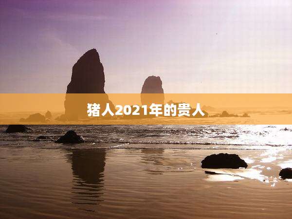 猪人2021年的贵人