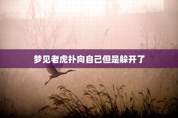 梦见老虎扑向自己但是躲开了