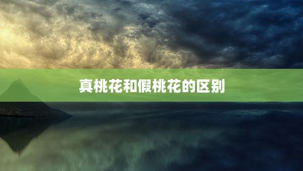 真桃花和假桃花的区别