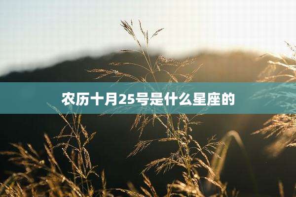 农历十月25号是什么星座的