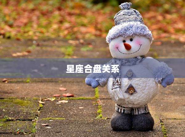 星座合盘关系