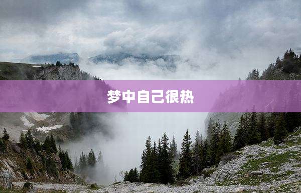 梦中自己很热