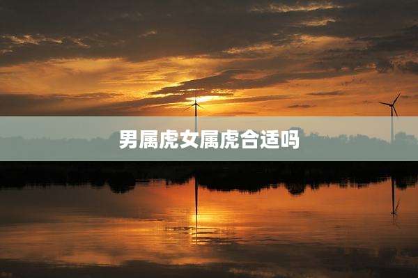 男属虎女属虎合适吗