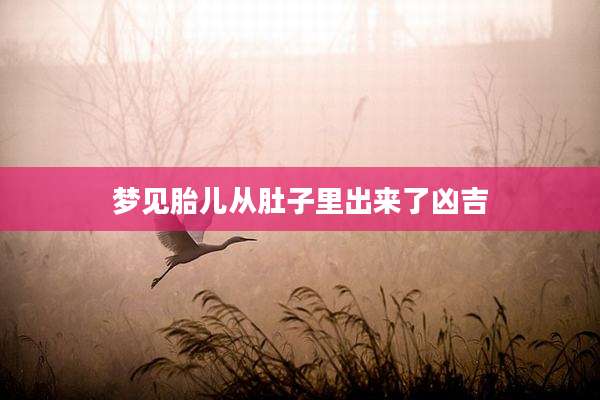 梦见胎儿从肚子里出来了凶吉