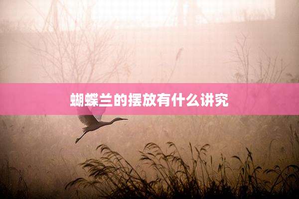 蝴蝶兰的摆放有什么讲究