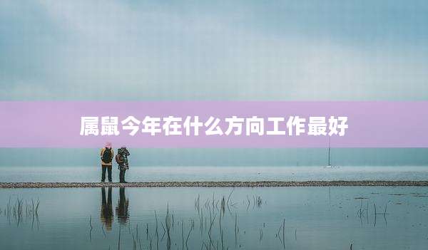 属鼠今年在什么方向工作最好