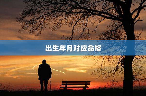 出生年月对应命格