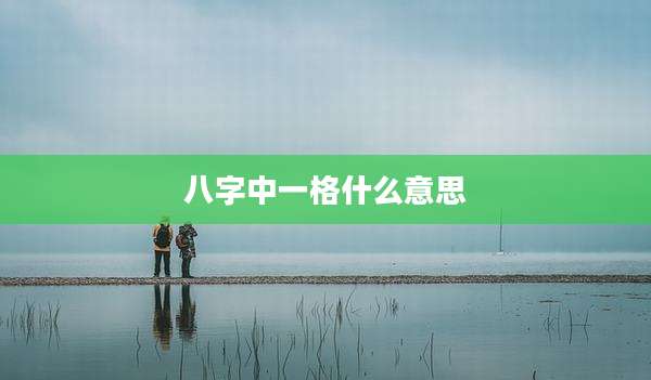 八字中一格什么意思