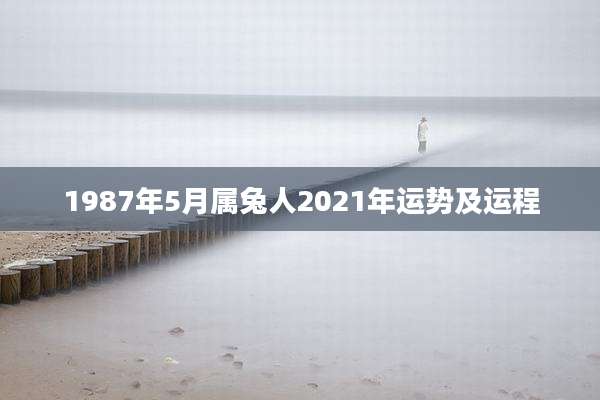 1987年5月属兔人2021年运势及运程