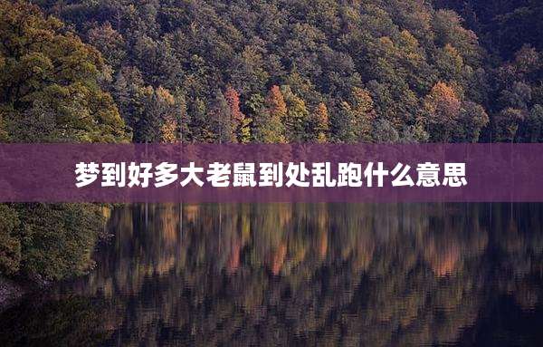 梦到好多大老鼠到处乱跑什么意思