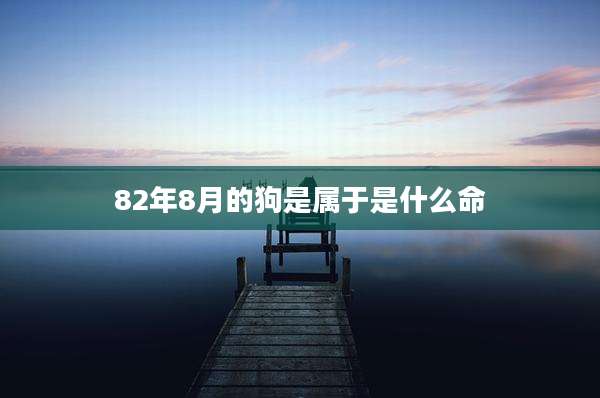 82年8月的狗是属于是什么命