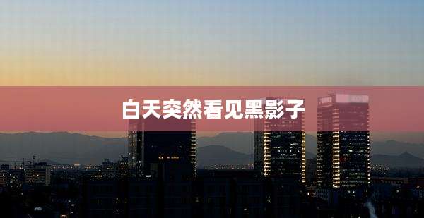 白天突然看见黑影子