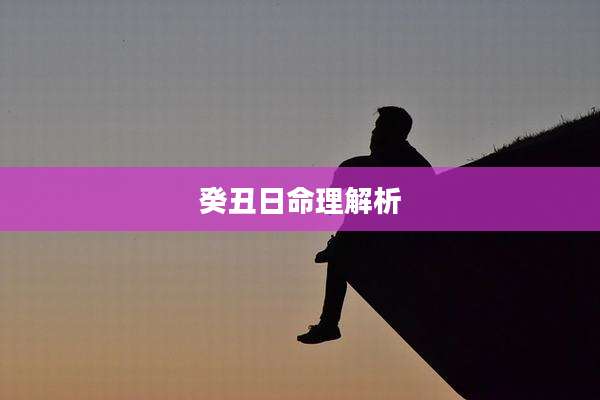 癸丑日命理解析