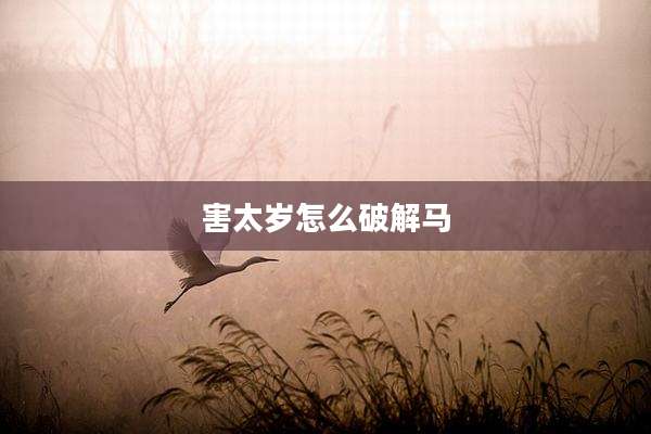 害太岁怎么破解马