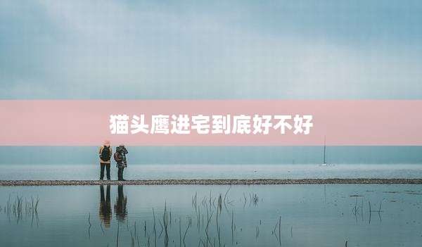 猫头鹰进宅到底好不好