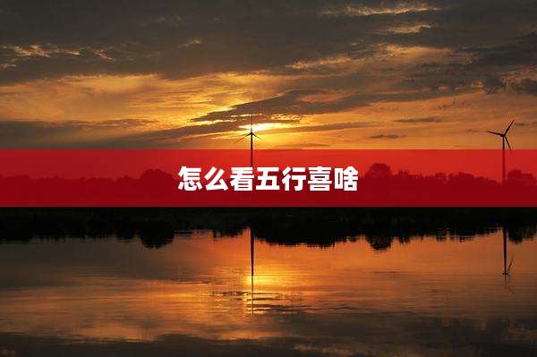 怎么看五行喜啥