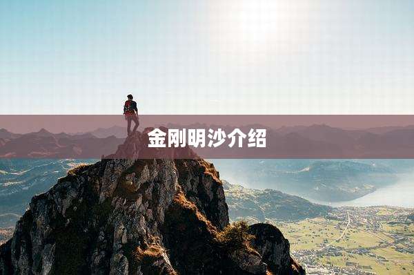 金刚明沙介绍