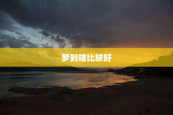 梦到啥比较好